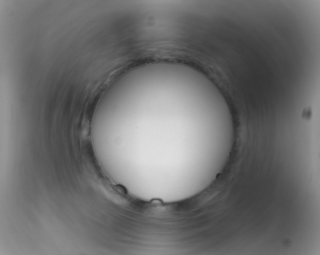 X0000113280081200909140951