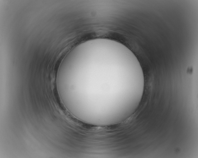 X0000113280082200909140951