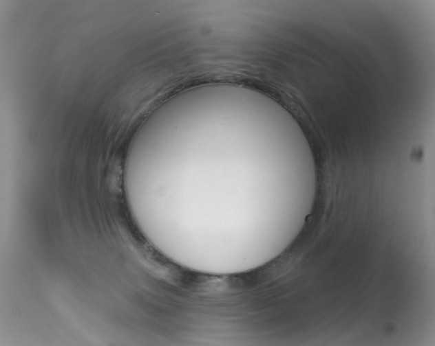 X0000113280083200909140951