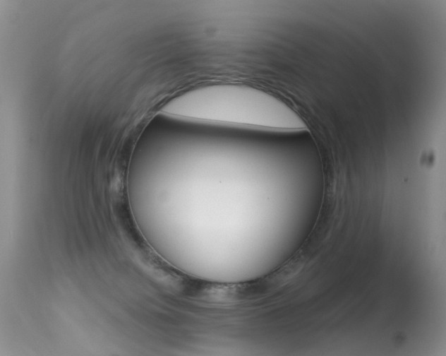 X0000113280084200909140951