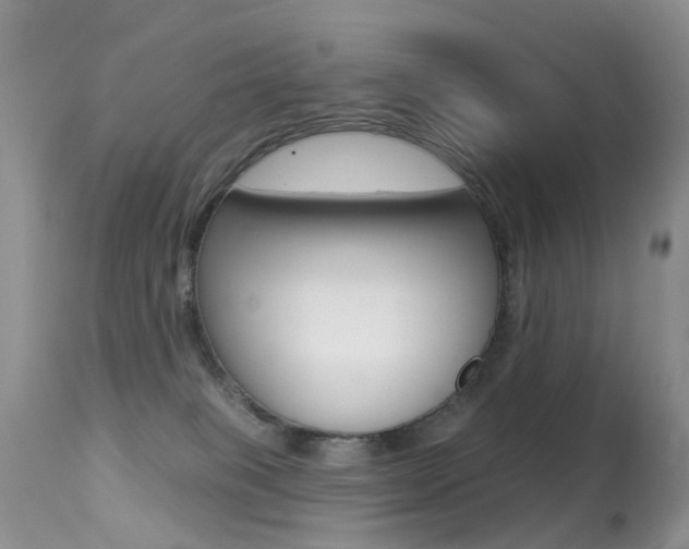 X0000113280085200909140951