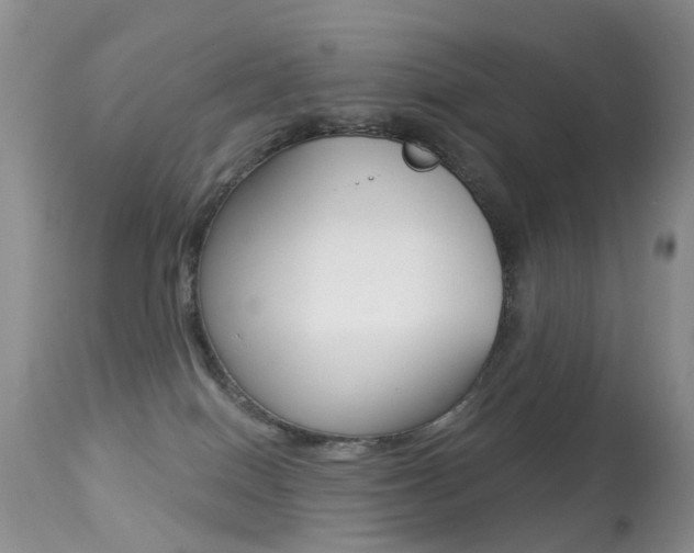 X0000113280086200909140951