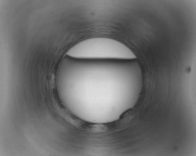 X0000113280087200909140951