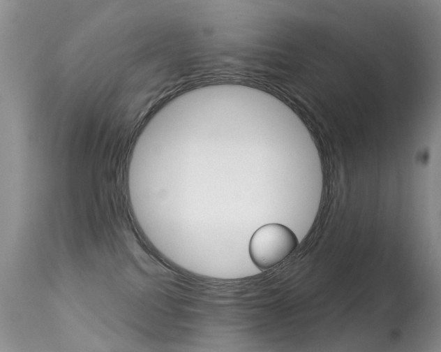 X0000113280088200909140951