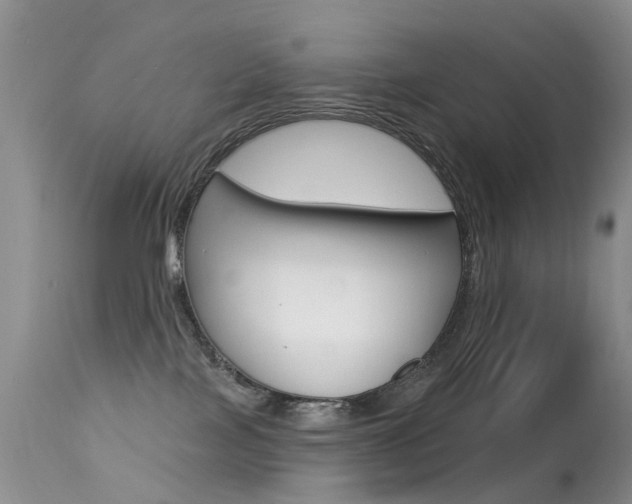 X0000113280089200909140951