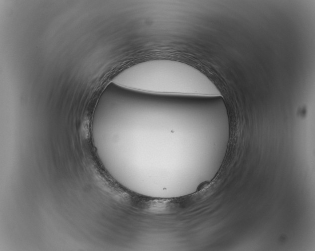 X0000113280090200909140951