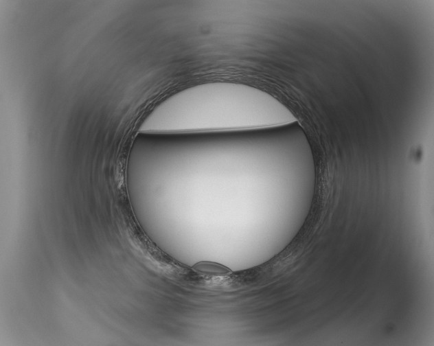 X0000113280091200909140951