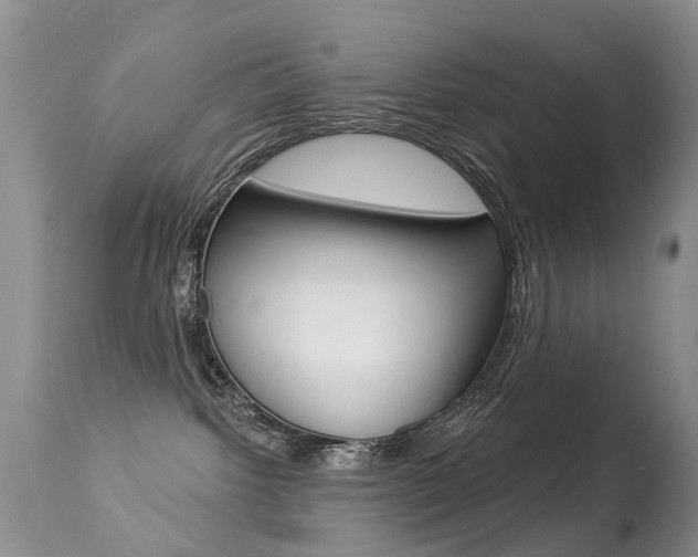 X0000113280092200909140951