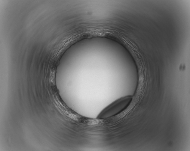 X0000113280096200909140951