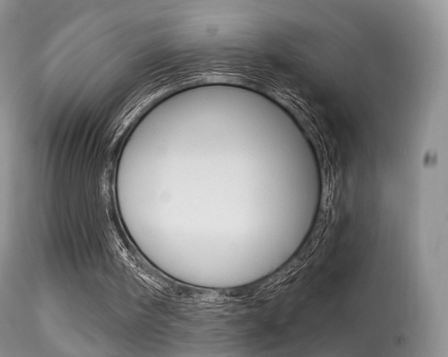 X0000113280098200909140950