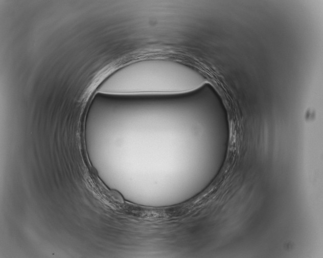 X0000113280099200909140950