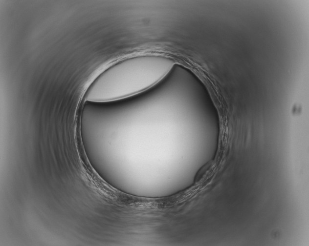 X0000113280100200909140950