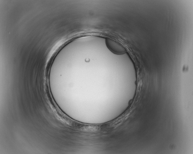 X0000113280102200909140950