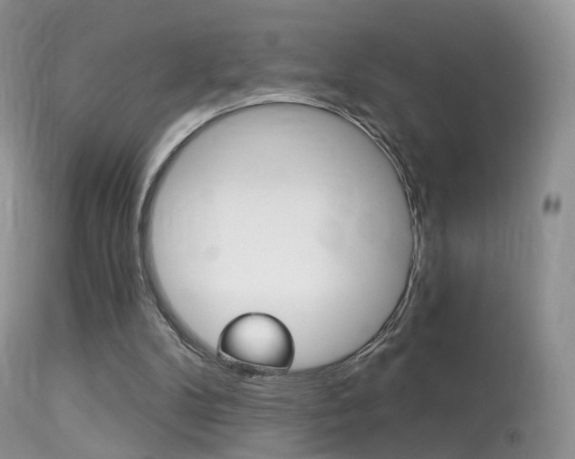 X0000113280104200909140950