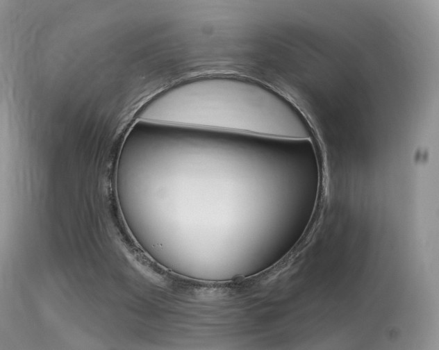 X0000113280105200909140950