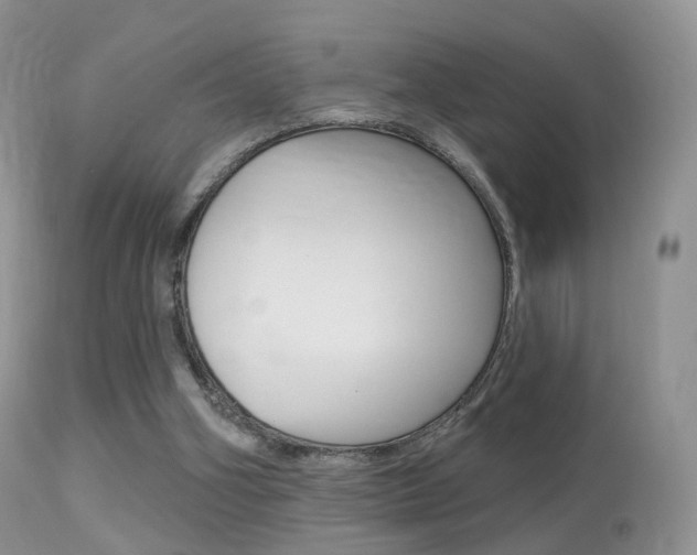X0000113280106200909140950