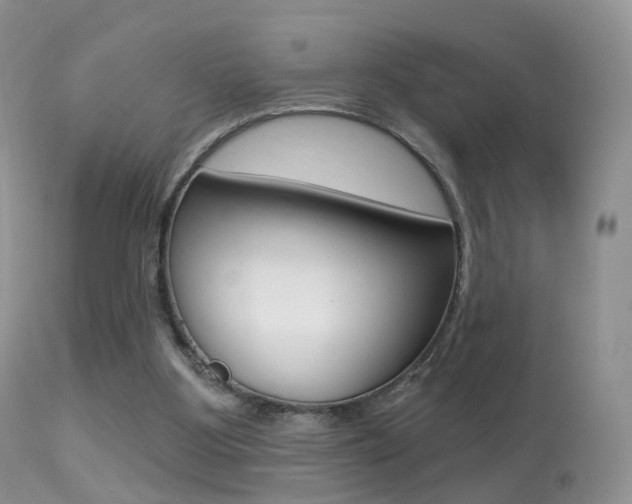 X0000113280107200909140950