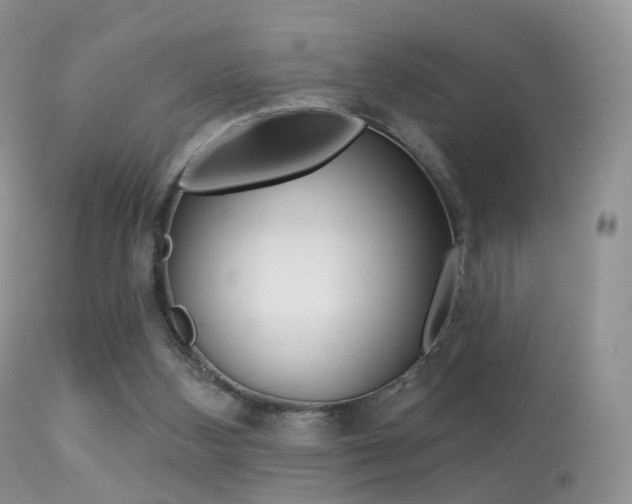 X0000113280108200909140950