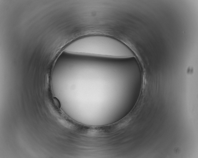 X0000113280109200909140950