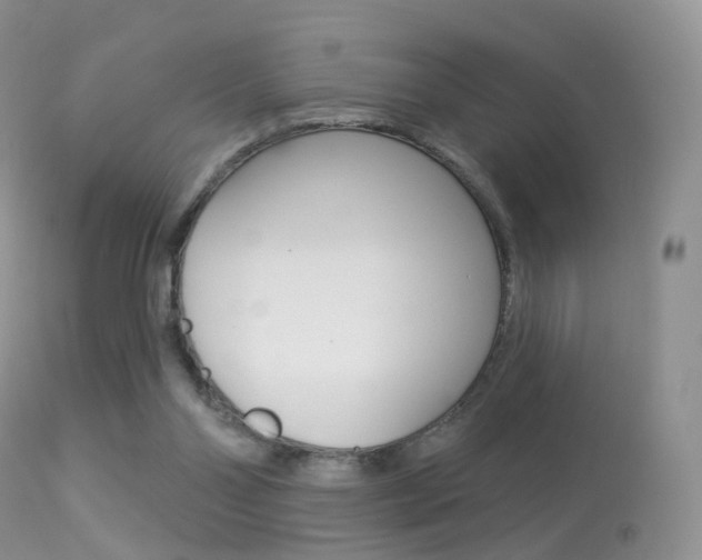 X0000113280110200909140950