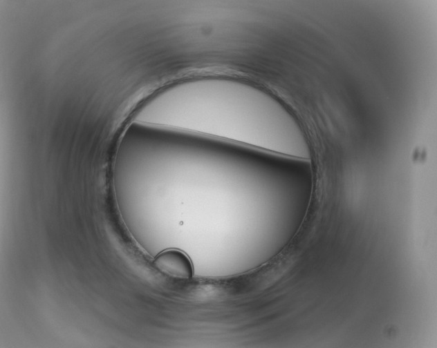 X0000113280111200909140950