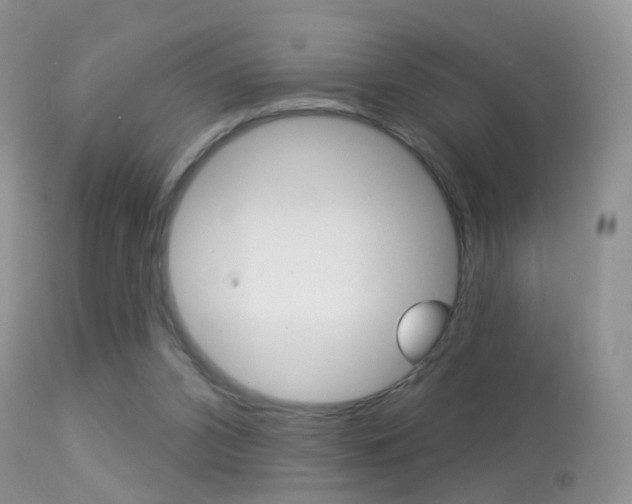 X0000113280112200909140950