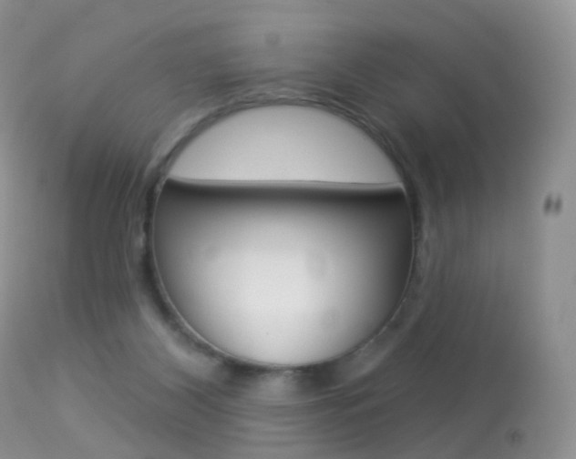 X0000113280116200909140950