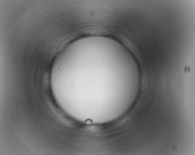 X0000113280117200909140950