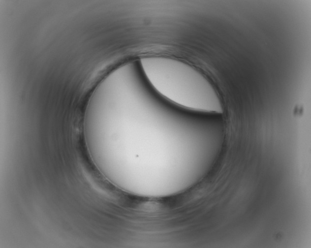 X0000113280119200909140950