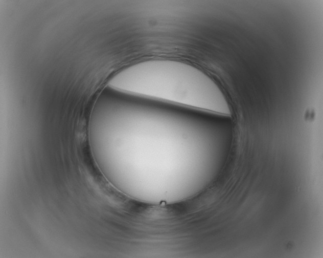 X0000113280123200909140950