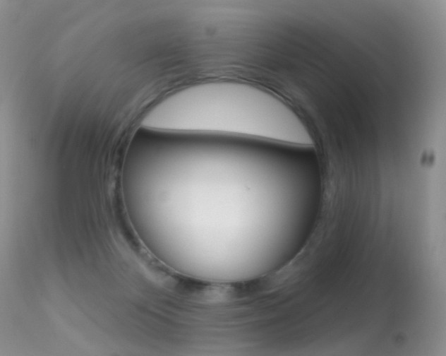 X0000113280124200909140950