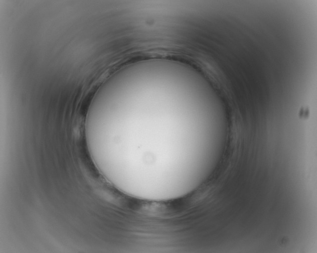 X0000113280125200909140950