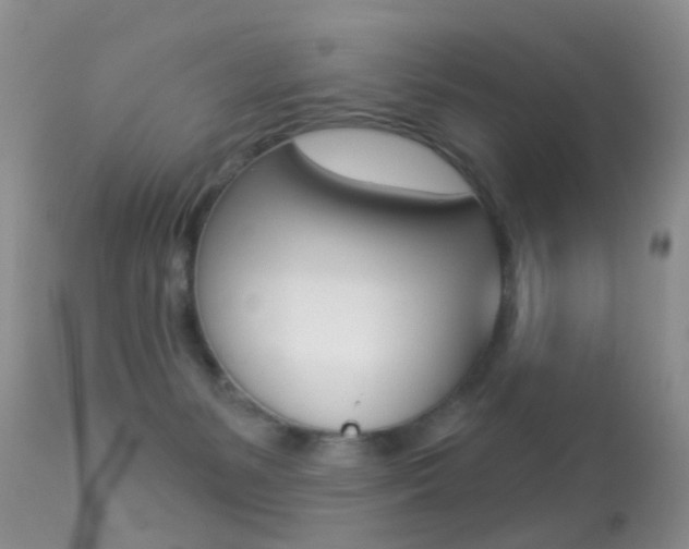 X0000113280127200909140950