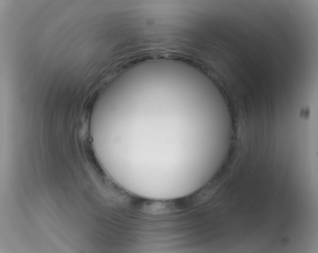 X0000113280129200909140950