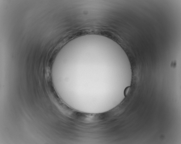 X0000113280130200909140950