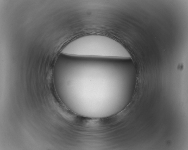 X0000113280132200909140950