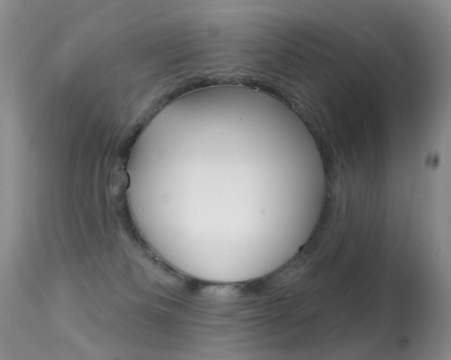 X0000113280133200909140950