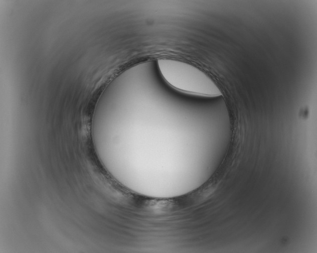 X0000113280135200909140950