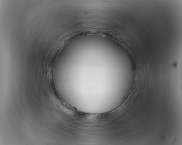 X0000113280136200909140950