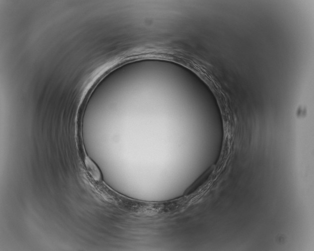 X0000113280148200909140949