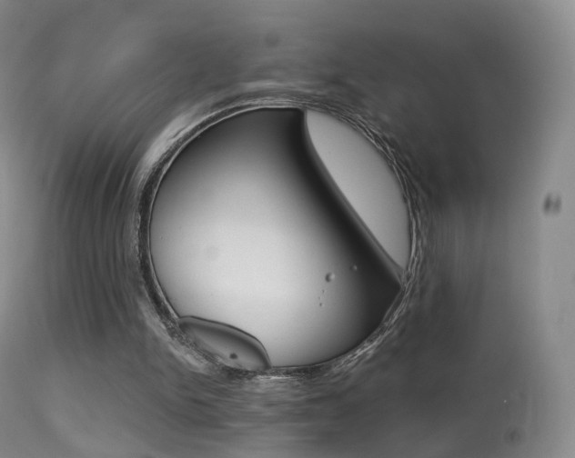 X0000113280150200909140949