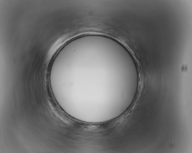 X0000113280151200909140949