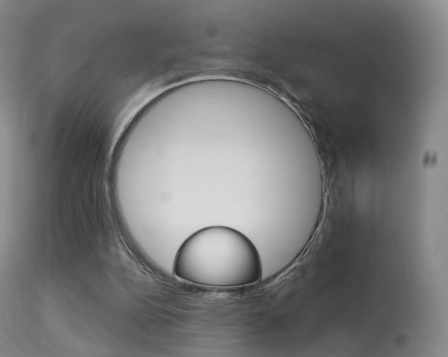X0000113280152200909140949