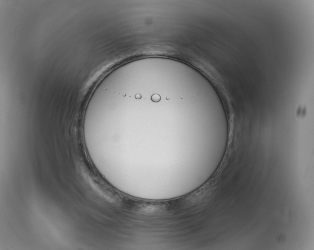 X0000113280155200909140949