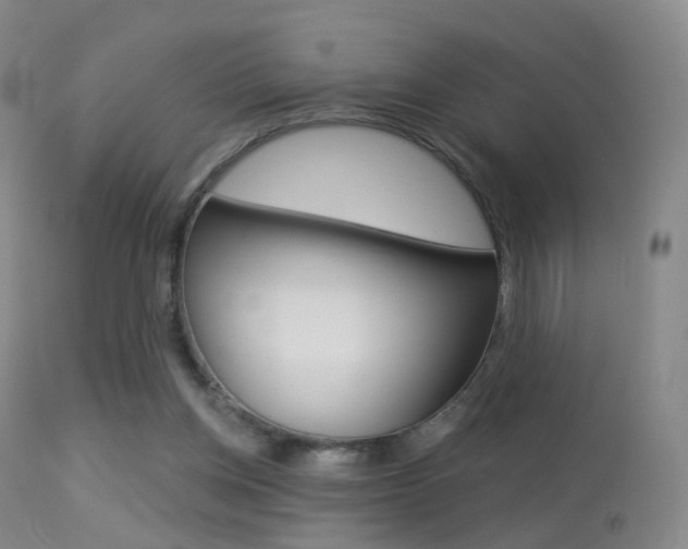 X0000113280158200909140949