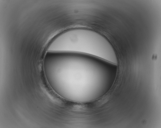 X0000113280160200909140949