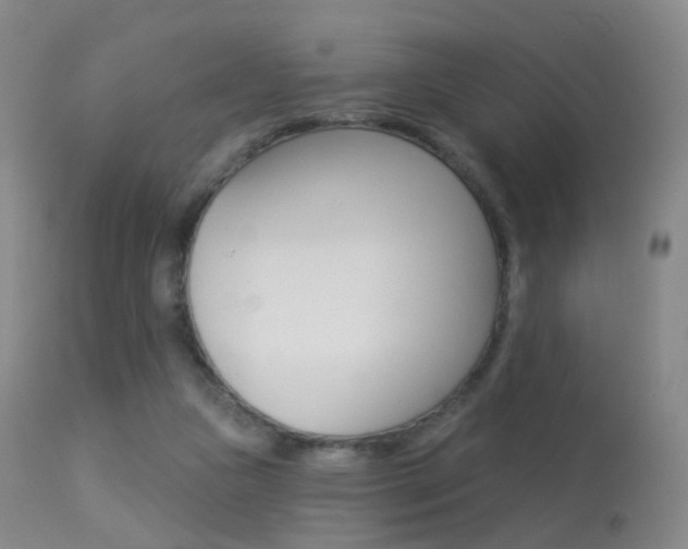 X0000113280161200909140949