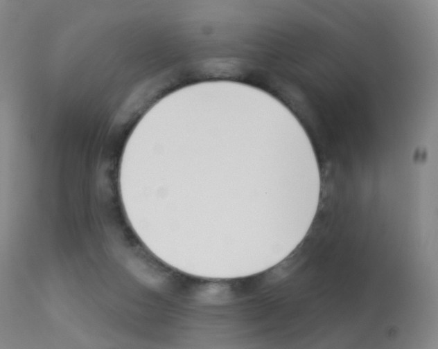 X0000113280162200909140949