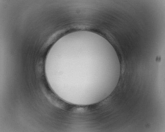 X0000113280163200909140949