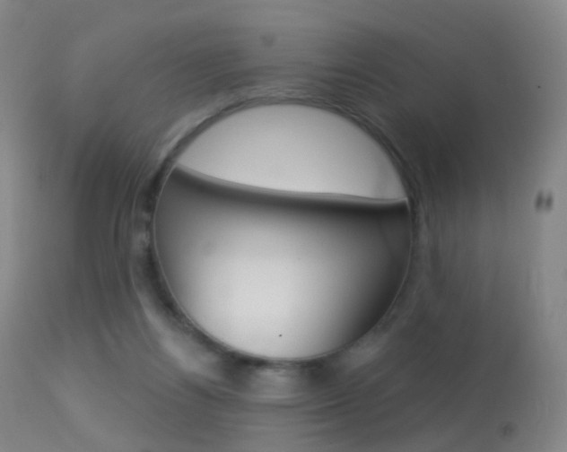 X0000113280164200909140949